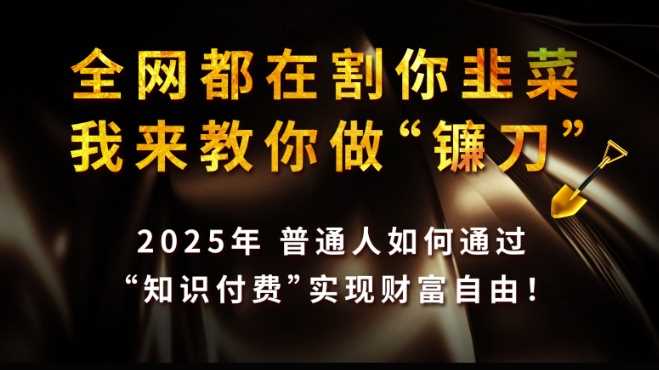 全网都在割你韭菜，我来教你做镰刀,2025普通人如何通过知识付费，实现财F自由【揭秘】-虫2小屋