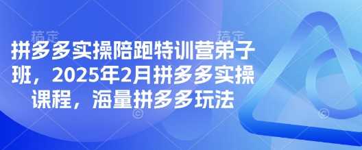拼多多实操陪跑特训营弟子班，2025年2月拼多多实操课程，海量拼多多玩法-虫2小屋