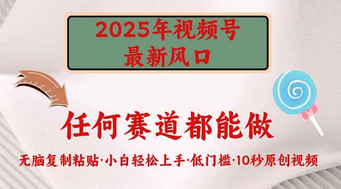（14453期）2025年视频号新风口，低门槛只需要无脑执行-虫2小屋