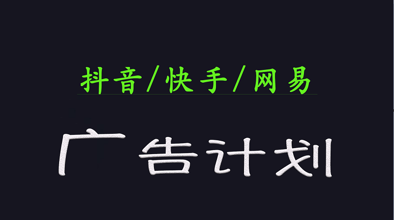 2025短视频平台运营与变现广告计划日入1000+，小白轻松上手-虫2小屋