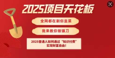 2025项目天花板普通人如何通过知识付费，实现财F自由【揭秘】-虫2小屋