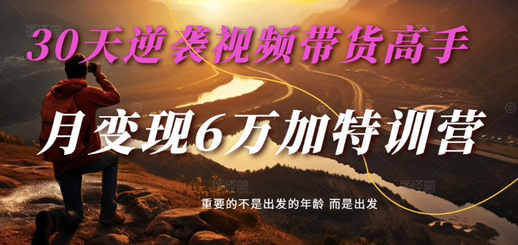 2025视频带货30天逆袭视频带货高手，单月变现6万加特训营-虫2小屋