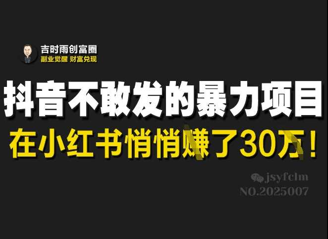 抖音不敢发的暴利项目，在小红书悄悄挣了30W-虫2小屋