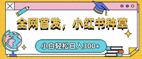 小红书种草，手机项目，日入3张，复制黏贴即可，可矩阵操作，动手不动脑【揭秘】-虫2小屋