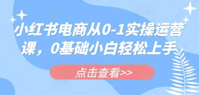 小红书电商从0-1实操运营课，0基础小白轻松上手-虫2小屋