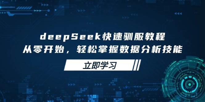 deepSeek快速驯服教程，从零开始，轻松掌握数据分析技能-虫2小屋