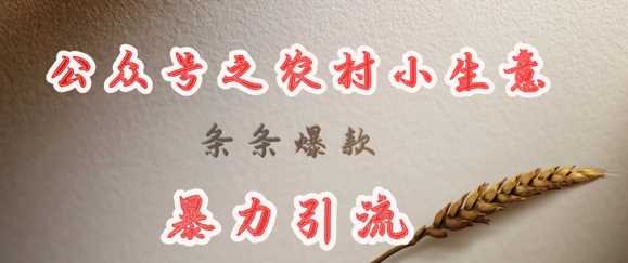 deepseek写农村小项目，条条爆款，暴力引流-虫2小屋