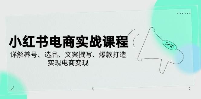 小红书电商实战课程，详解养号、选品、文案撰写、爆款打造，实现电商变现-虫2小屋
