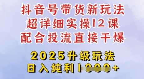 2025全新升级抖音带货玩法，一天纯利四位数，从剪辑到选品再到发布投流，超详细玩法揭秘-虫2小屋