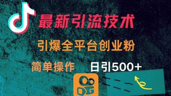 最新引流方法，引爆全平台的一个创业粉，简单操作日引300+-虫2小屋