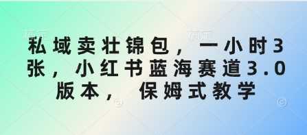 私域卖壮锦包，一小时3张，小红书蓝海赛道3.0版本， 保姆式教学-虫2小屋