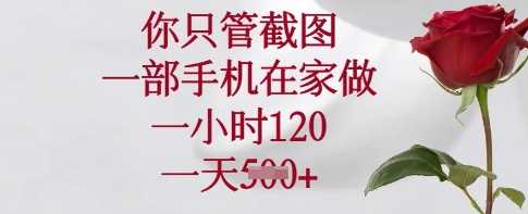 你只管截图，一部手机在家做，一小时120.一天5张【揭秘】-虫2小屋