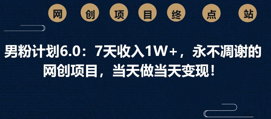 男粉计划6.0：7天收入1W+，永不凋谢的网创项目，当天做当天变现！-虫2小屋