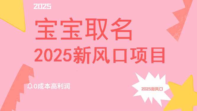 （14593期）2025新风口项目宝宝取名，0成本高利润，附保姆级教程，月入过万不是梦-虫2小屋