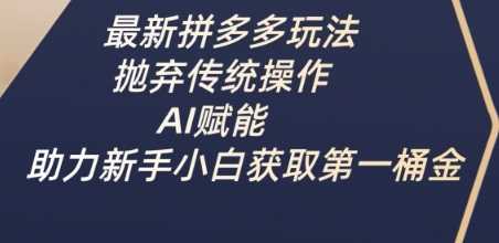最新拼多多玩法，抛弃传统操作，AI赋能，助力新手小白获取第一桶金-虫2小屋
