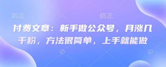 付费文章：新手做公众号，月涨几干粉，方法很简单，上手就能做-虫2小屋