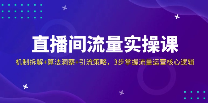 （14122期）直播间流量实操课：机制拆解+算法洞察+引流策略，3步掌握流量运营核心逻辑-虫2小屋