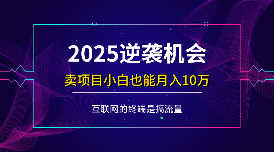 （14122期）项目标题：2025逆袭机会，卖项目小白也能轻松月入10万+-虫2小屋