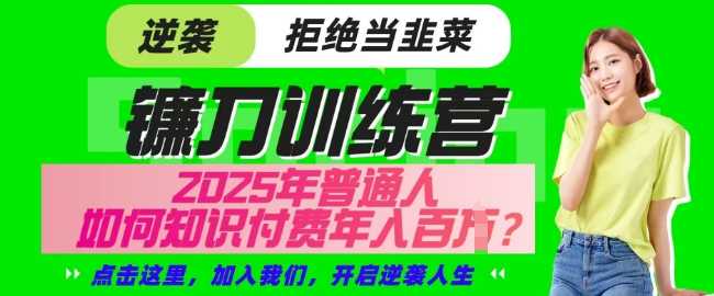 【网创项目终点站-镰刀训练营超级IP合伙人】25年普通人如何通过知识付费实现逆袭【揭秘】-虫2小屋
