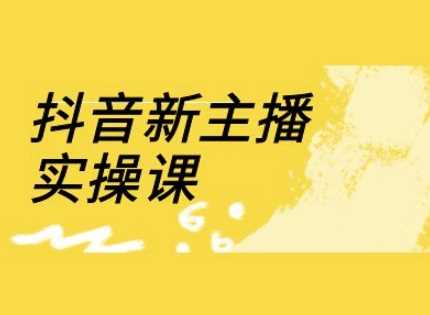 抖音新主播实操课，直播间流量运营线上实操课(18节)-虫2小屋