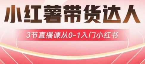 小红薯达人带货启航计划，3节直播课从0-1入门小红书-虫2小屋