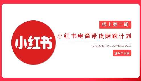 2025小红书虚拟电商实战课，从0到1打造无货源店铺，AI+爆款笔记轻松变现-虫2小屋