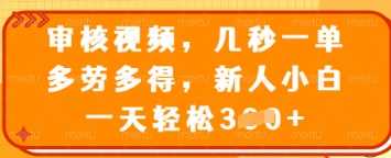 审核视频，几秒一单，多劳多得，新人小白一天轻松3张【揭秘】-虫2小屋