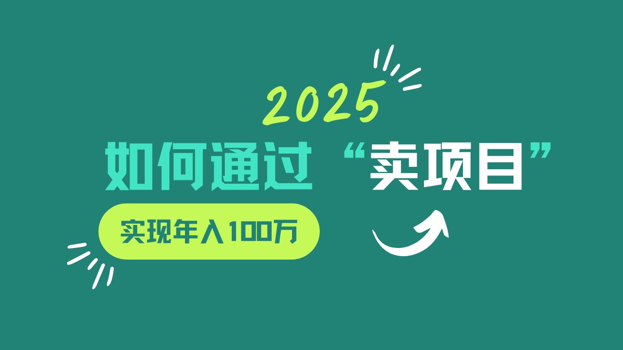 2025年如何通过“卖项目”实现年入100w-虫2小屋