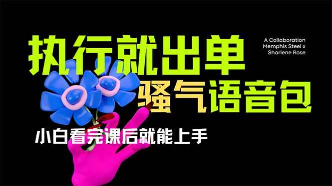 （14170期）爆火全网的开车导航骚气语音包,只要执行就出单，小白看完课程就能实操…-虫2小屋