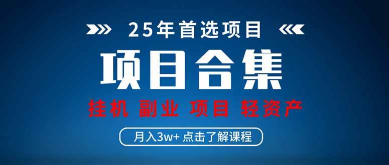 （14175期）2025 实操项目合集 挂机类型 直播类型 轻资产创业类型 课程分享各项目…-虫2小屋