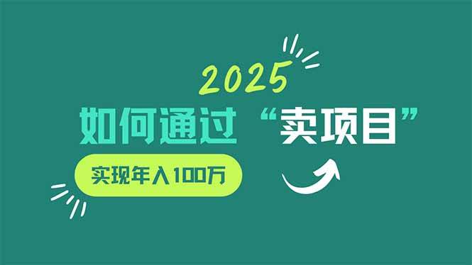 （14176期）2025年如何通过“卖项目”实现年入100万-虫2小屋