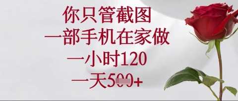 你只管截图，一部手机在家操作，一小时120.一天5张【揭秘】-虫2小屋