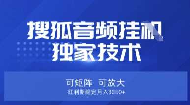 【搜狐音频挂G】独家技术，可矩阵可放大，红利期稳定月入8k【揭秘】-虫2小屋