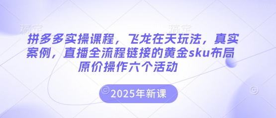 拼多多实操课程，飞龙在天玩法，真实案例，直播全流程链接的黄金sku布局原价操作六个活动-虫2小屋