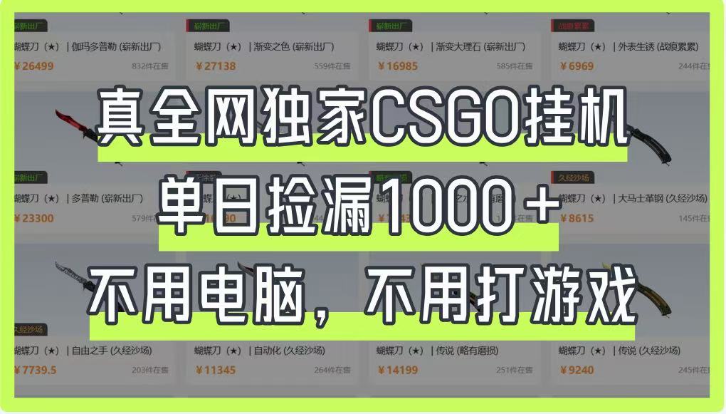 真全网独家CSGO挂机，单日捡漏1000+，不用电脑，不用养号-虫2小屋