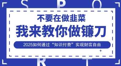 韭菜生涯终结者，我来教你做镰刀，2025如何通过“知识付费”实现财F自由【揭秘】-虫2小屋
